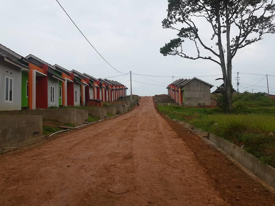 laput-2d-2.jpg